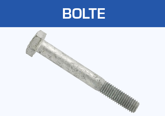 Bolte