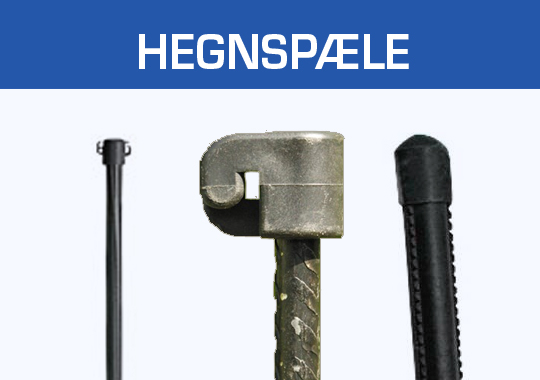 Hegnspæle