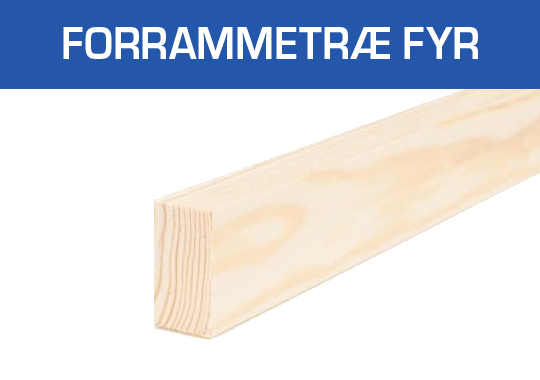 Forrammetræ Fyr