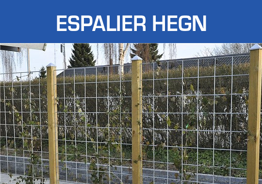 Espalier Hegn