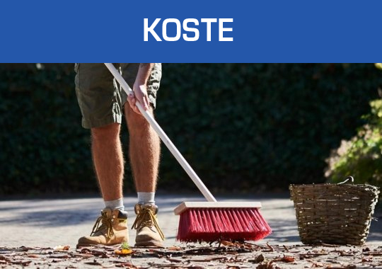 Koste