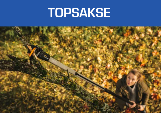 Topsakse