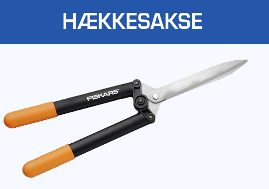 Hækkesakse