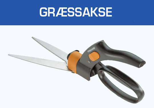 Græssakse