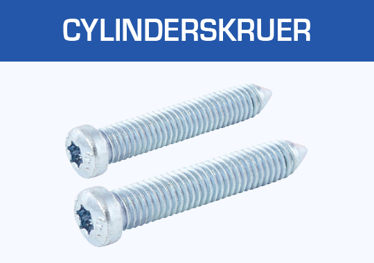 Cylinderskruer
