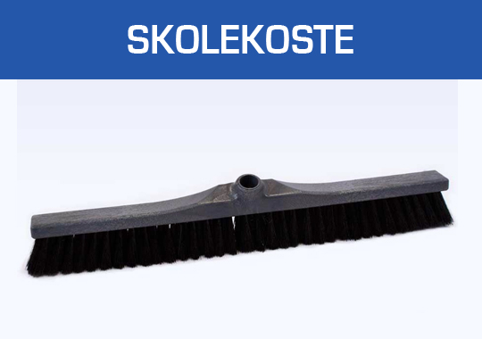 Skolekoste