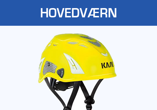 Hovedværn