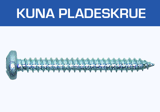 Kuna Pladeskrue, panhoved