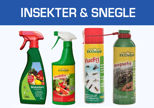 Insekter og Snegle