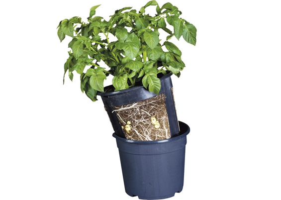 Garden Life Potato-pot sort