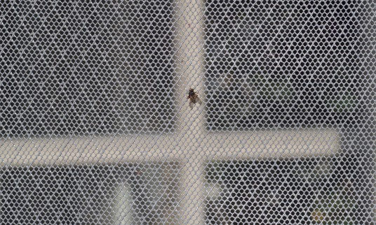 Expo-net insektnet 209 grå