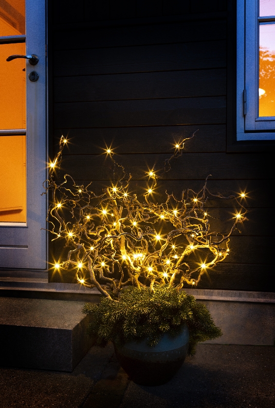 veli line lyskæde 50 varm hvid